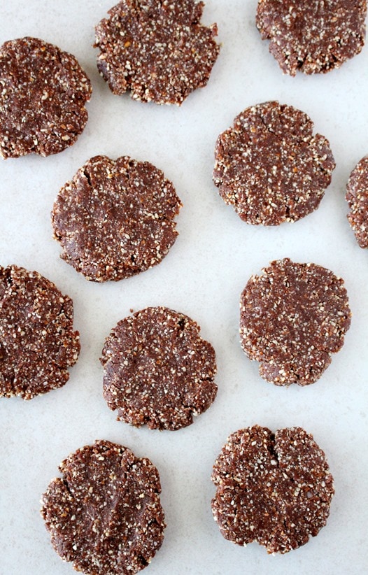 Raw Coconut Cacao Almond Cookies