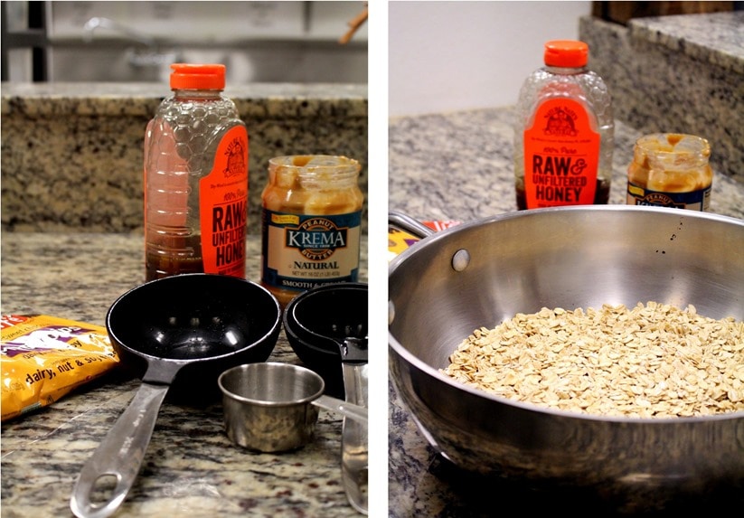 Peanut Butter Chocolate Chip Oat Balls