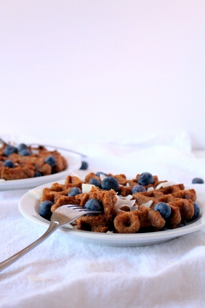 Gluten-Free Toasted Coconut Waffles