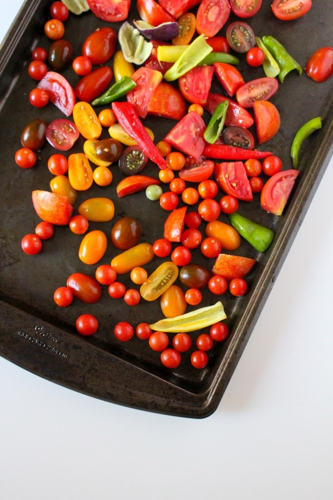 Roasted Garden Salsa