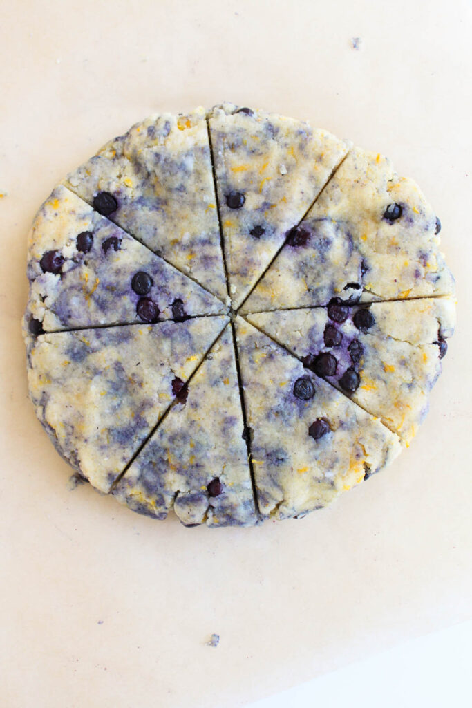 overhead view of uncooked blueberry scone dough on a white background.
